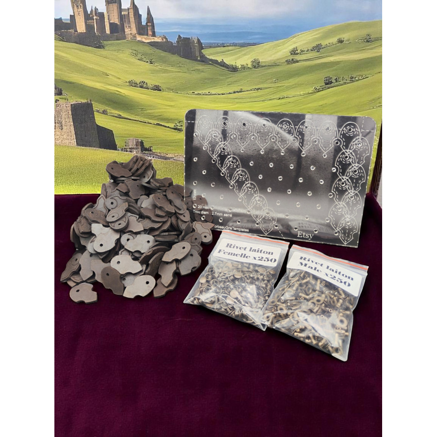 Kit complet avec 250 écailles en cuir, rivets en laiton et gabarit